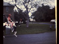 Shari Parade 2